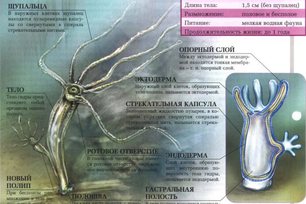 Дарк маркетплейс кракен