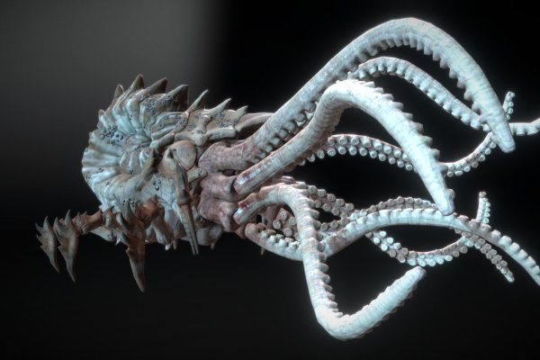Kraken актуальные зеркала krakentor site