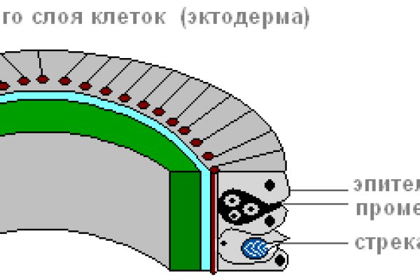 Кракен зарегистрироваться
