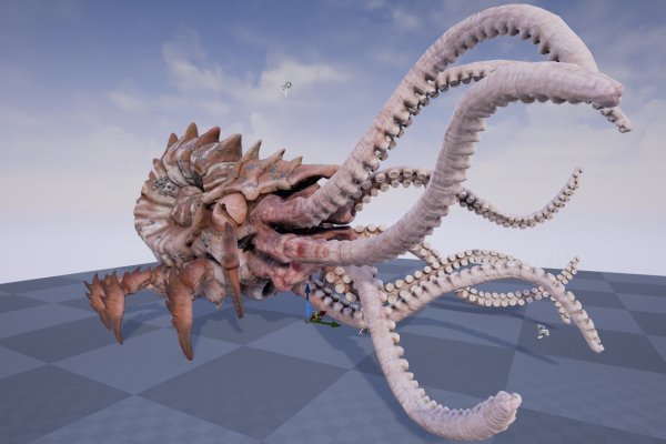 Kraken 13 at