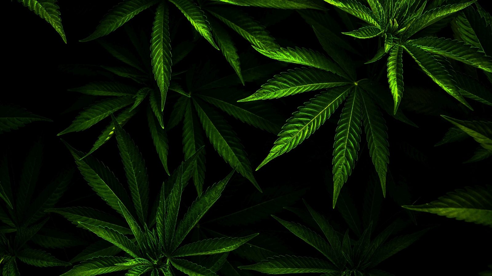 Kraken маркетплейс официальный
