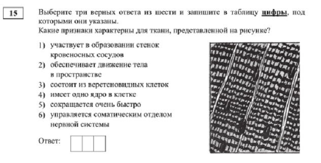 Кракен зеркало gigageek ru